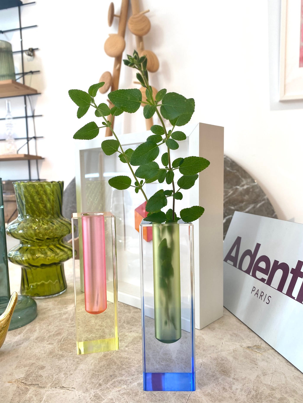Soliflore Blomst Transparent Coloré | Design Épuré